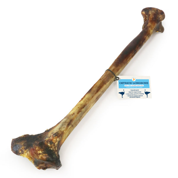 JR Pet Products Ostrich Long Bone