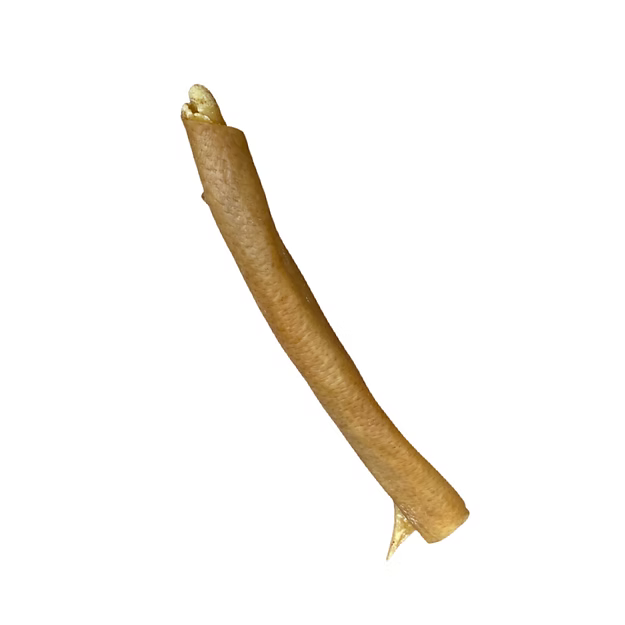 Pork Rind 18cm