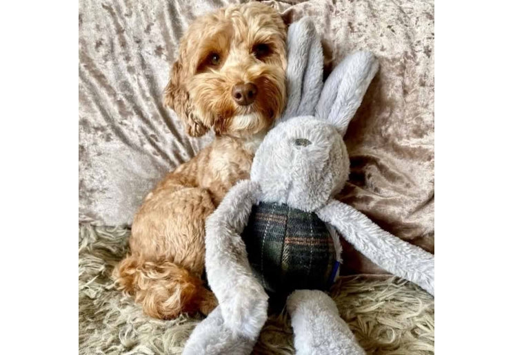 Heritage Floppy Bunny