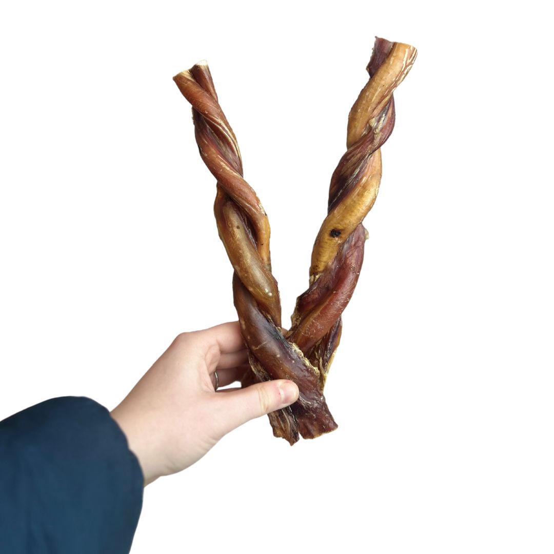 Twisted Bull Pizzle 24cm. Approx