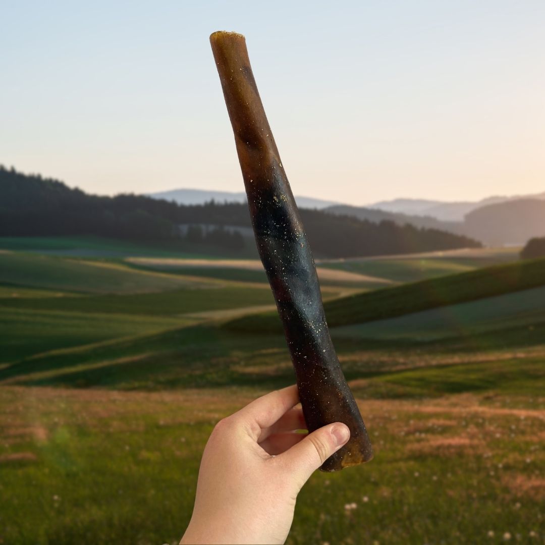 Camel Skin Rolled 30cm