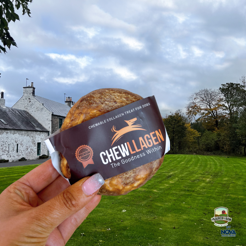 Chewllagen Beef Donut 3.5"