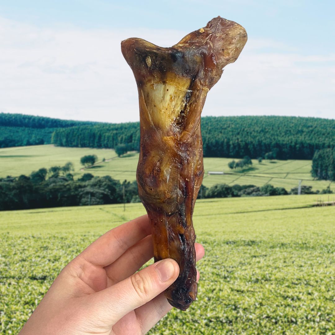 Ostrich Foot Large x 1