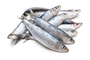 Reggie`s Raw Sardines 1kg