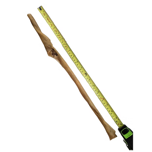 Giant Wild Boar Skin