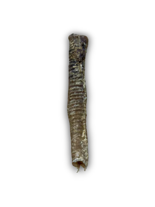Anco Lamb Tube