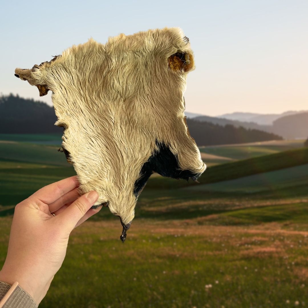 XL Beef Skin Hairy x 1
