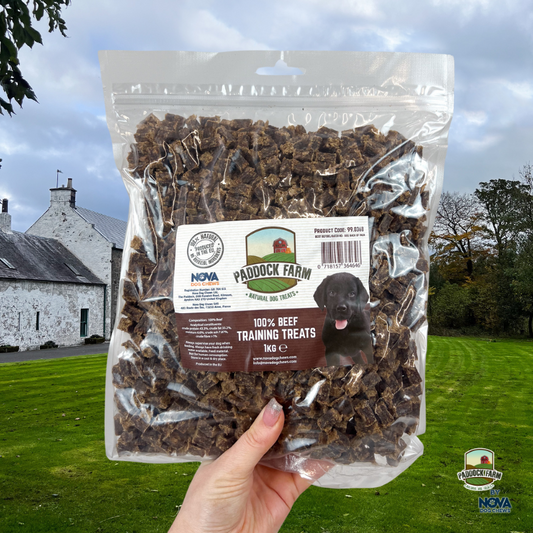 Paddock Farm Beef Training Treats Beef 1kg