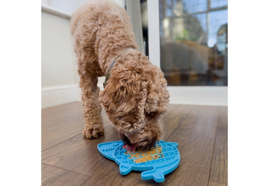 Orva Shark Lick Mat