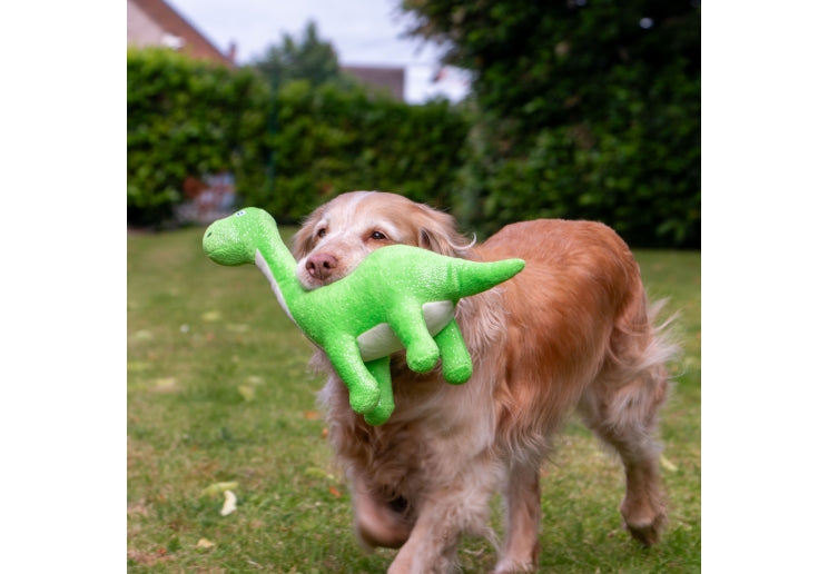 Cuddle Roarsome Dinosaur Toy