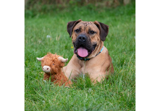 Heritage Fergus Highland Cow Plush Toy