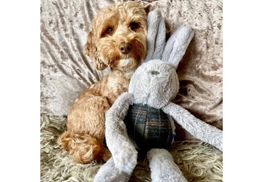 Heritage Floppy Bunny