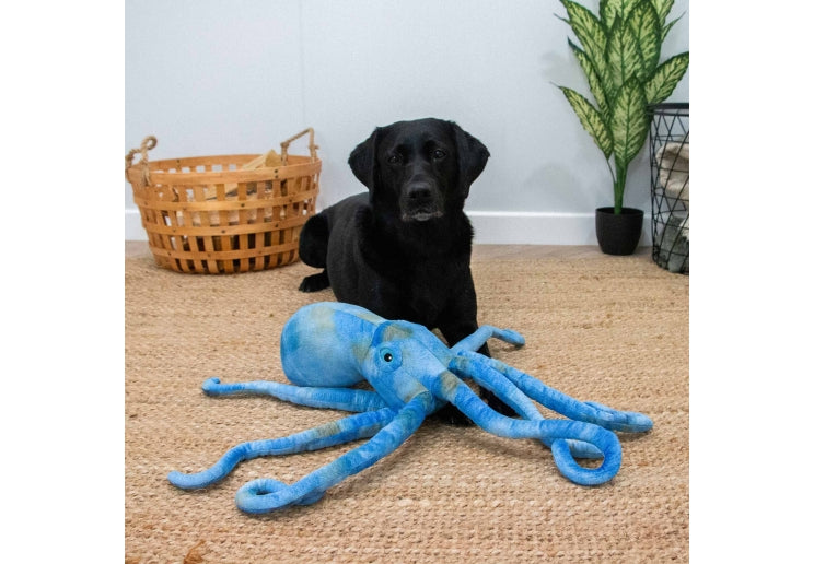 Cuddle Phil the Kraken
