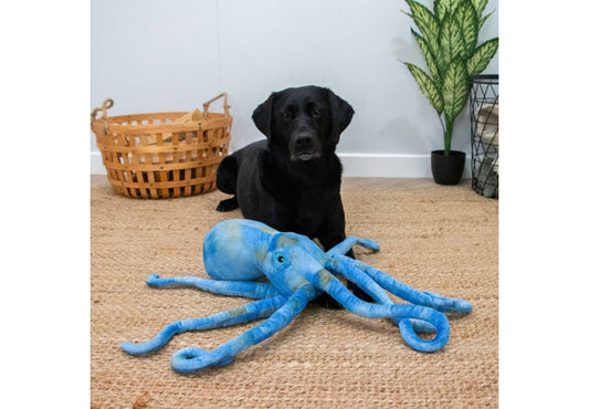 Cuddle Phil the Kraken