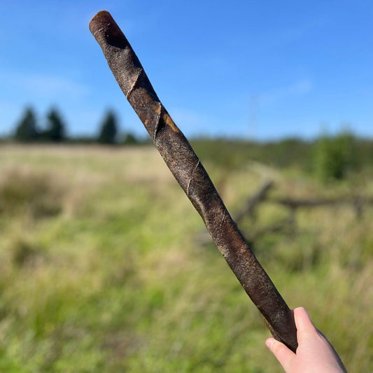 XL Camel Skin Roll 50cm