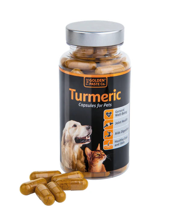 Turmeric Capsules for Pets
