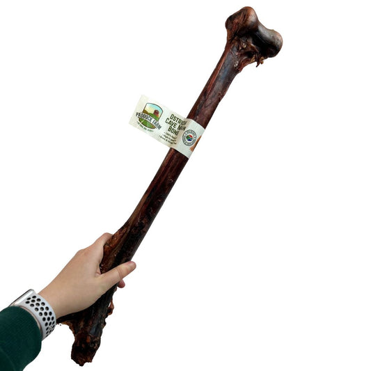 Caveman Bone
