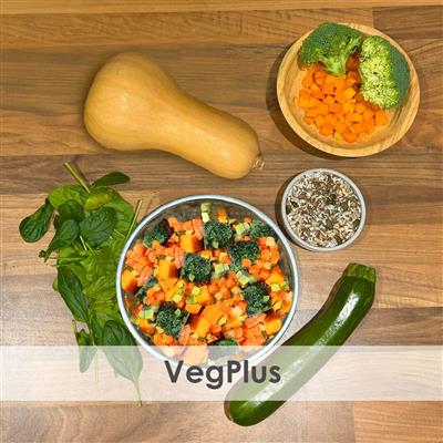 Fur Baby Nutrition Veg Plus Raw 1KG