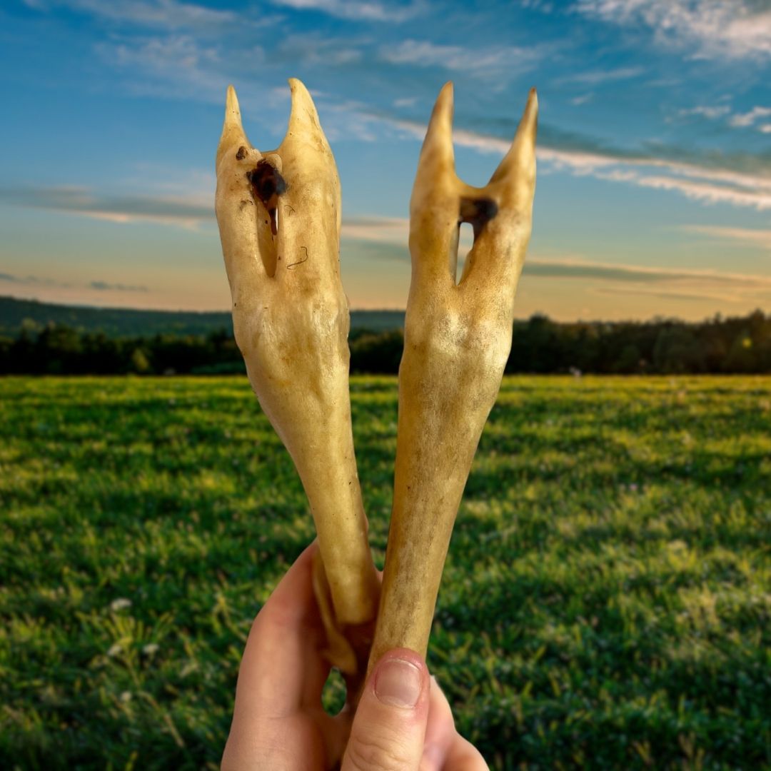 Goat Foot