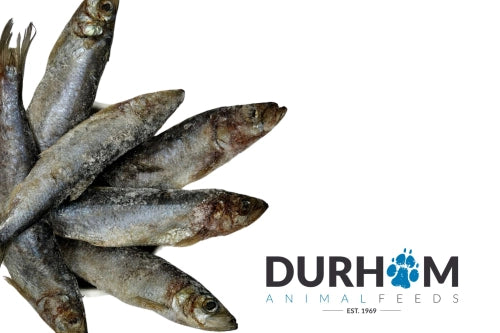 DAF Herring 1kg