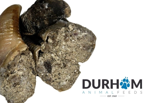 Durham Animal Feeds Frozen Hooves filled with Tripe 4pcs