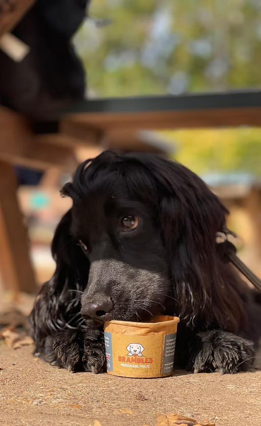 Brambles Beef & Carrot Frozen Treat 100g