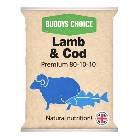 Buddy`s Choice Lamb & Cod 80/10/10 454g