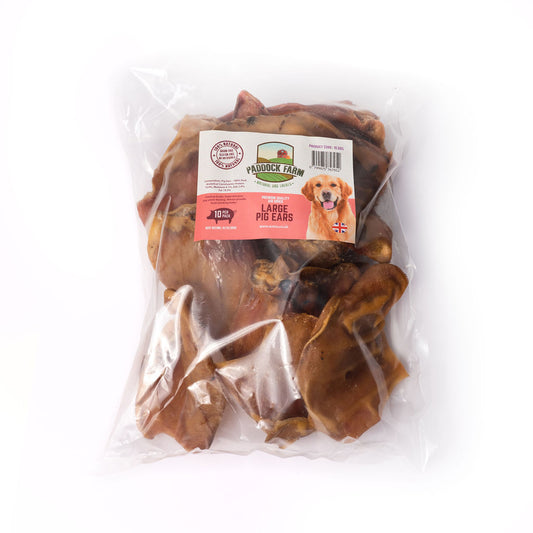 Large Pigs Ears 10 Pack