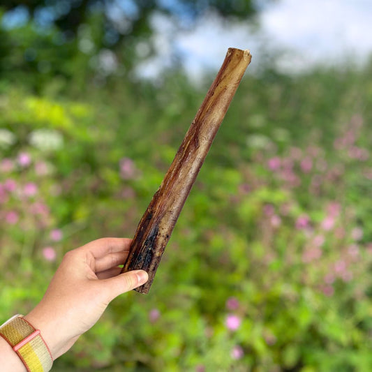 Ostrich Marrow Bone