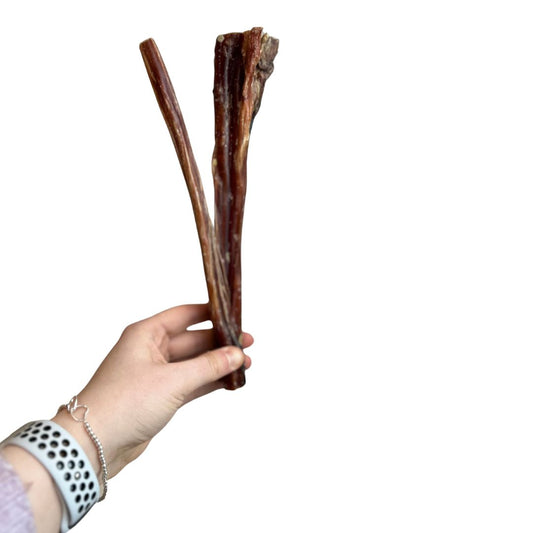 Bulls Pizzle 24cm