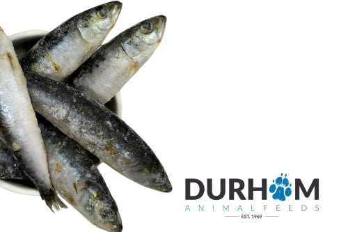Durham Animal Feeds Sardines 1kg