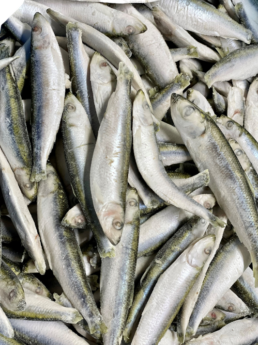 Dougie`s Sprats 1kg