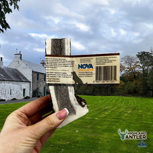 Deer Antler Split Extra Large