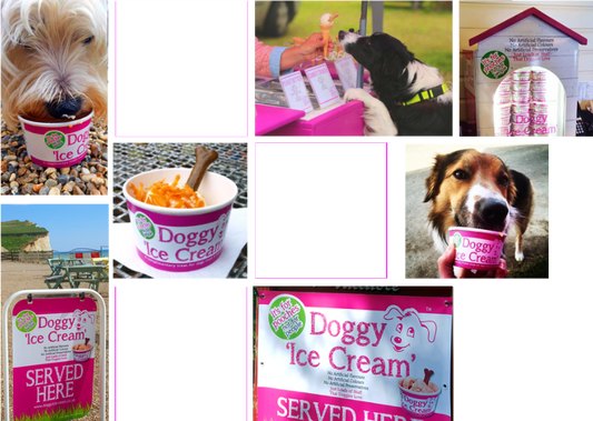 Waggy Dog Ice Cream