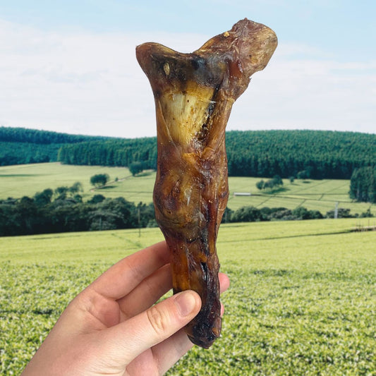 Ostrich Foot Large x 1