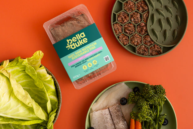 Bella & Duke Puppy Fish 500g