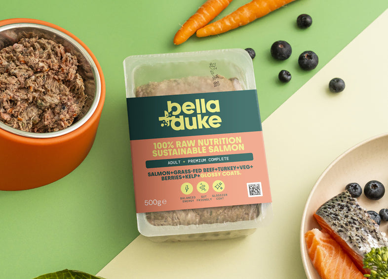 Bella & Duke Puppy Salmon 500g