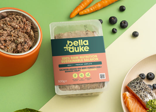 Bella & Duke Puppy Salmon 500g