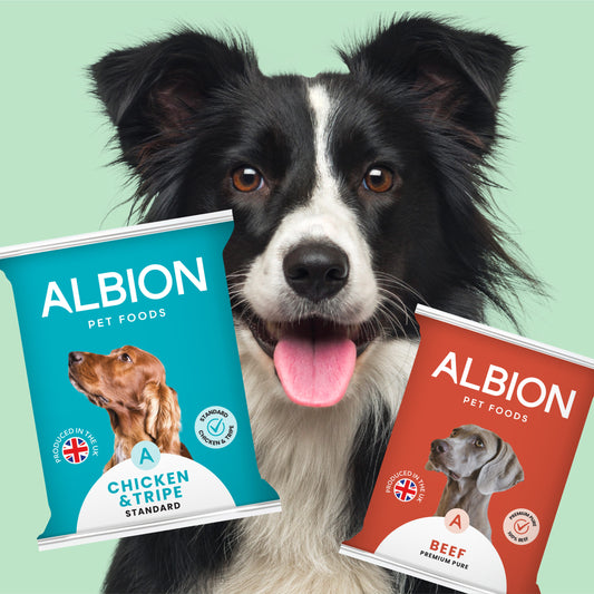 Albion Eco Chicken 454g